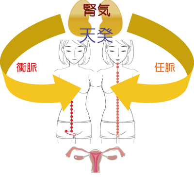妊婦、針灸、マタニティマッサージ