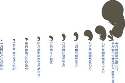 妊婦ケア、産後ケア、つわり